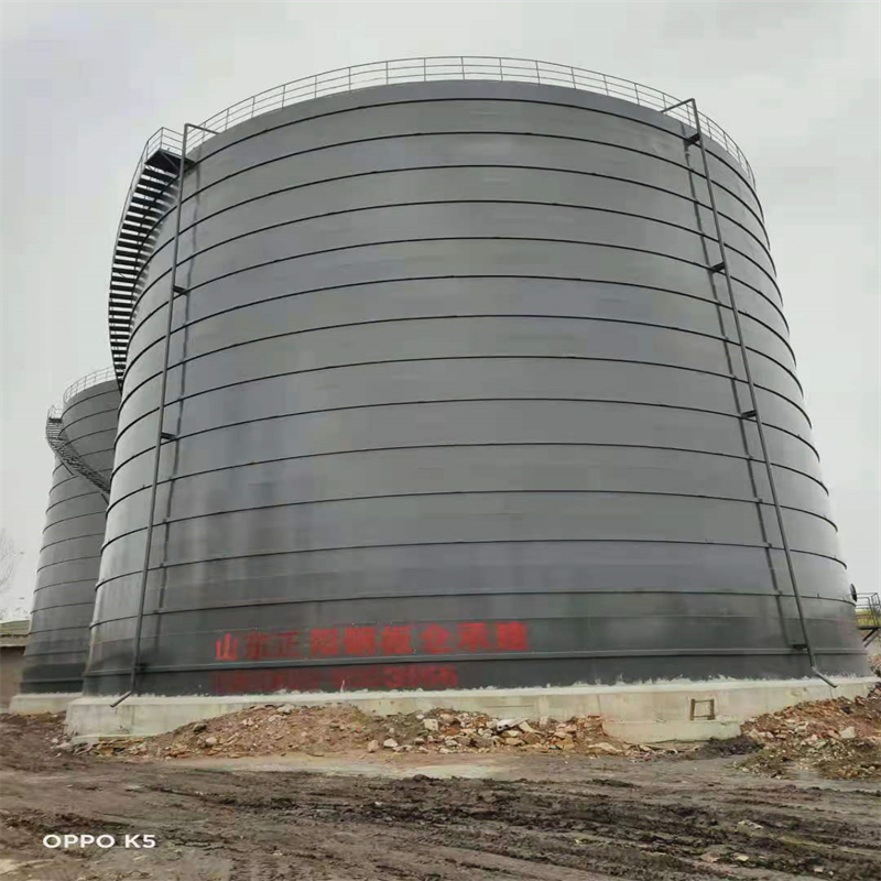 田林3万吨大型钢板库