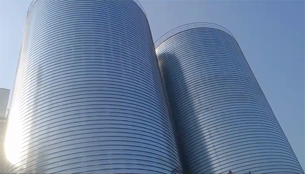 田林2座混凝土高架卷板仓